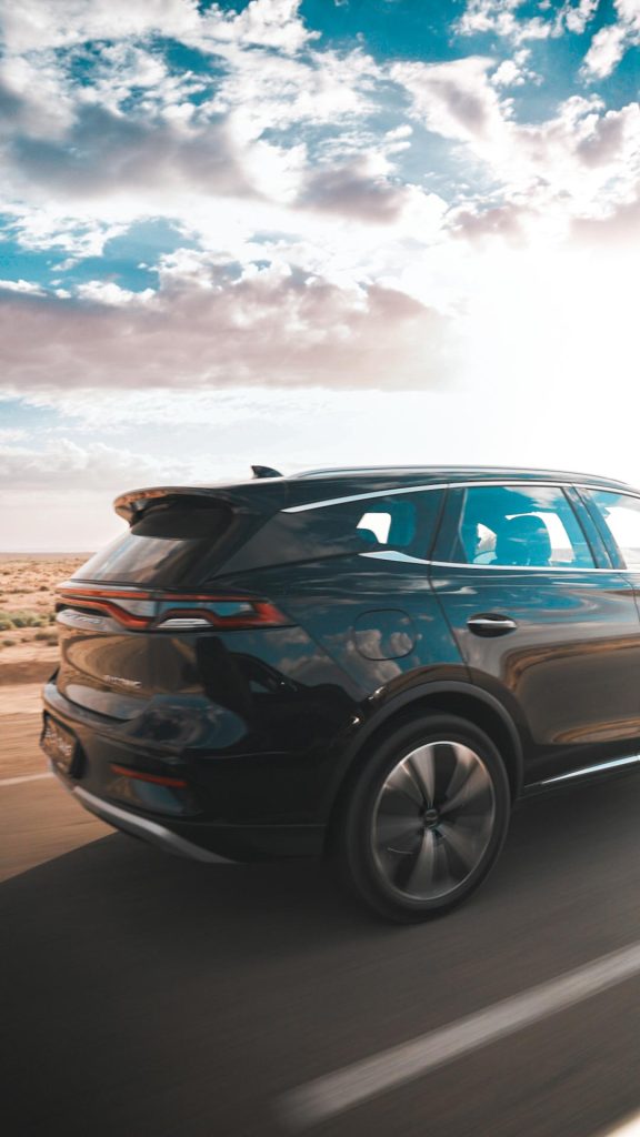 BYD - Sadri Skander (4)