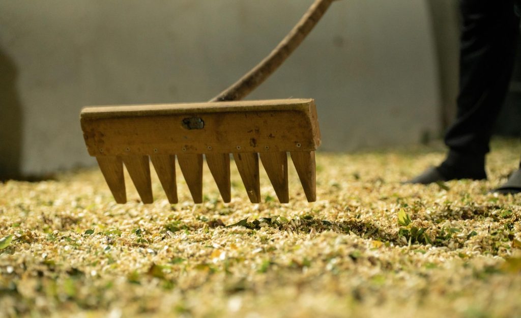 Orange Blossom Water (10)