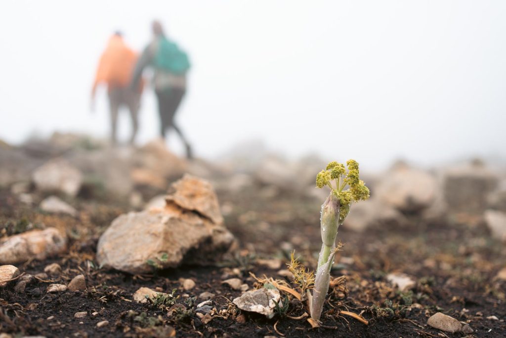 « Tnajem » Tunisian Campers Challenge (5)